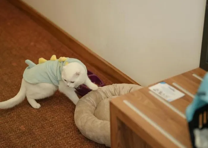 Ramada By Wyndham Karacabey מלון